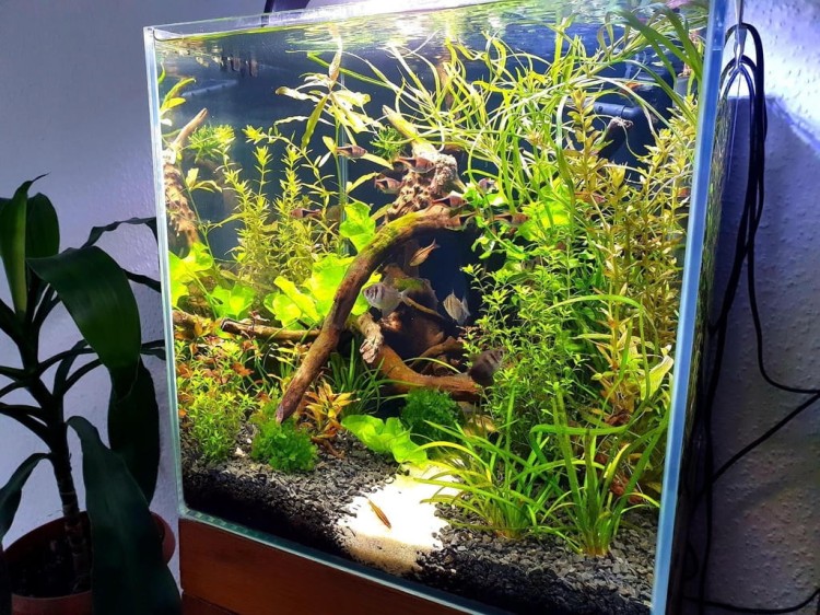 0563fe381750f88438943ed06883093b