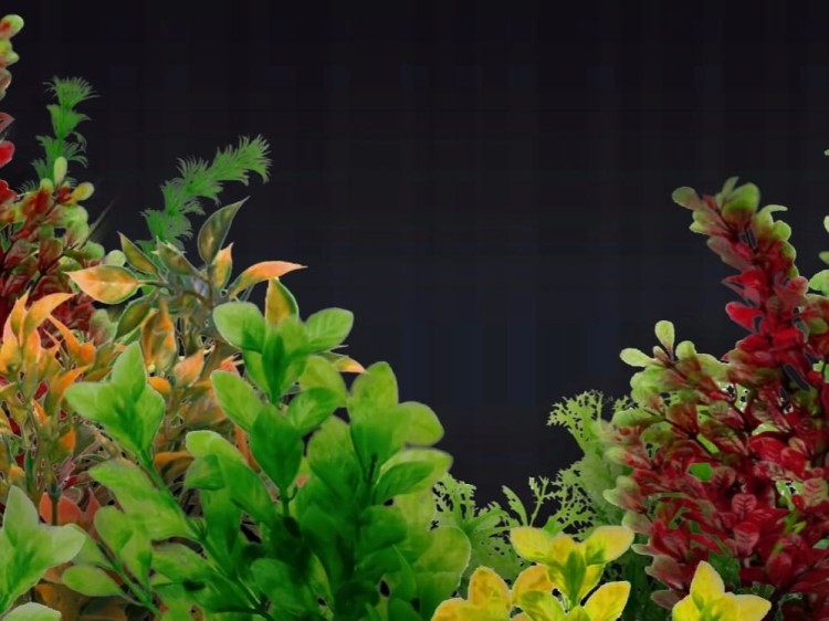 89d757feb29a1843c0fefcaba94b4fc4