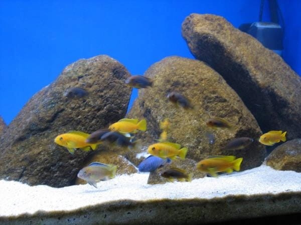 843249fd84b09f1e53831d5d6d55ea9f