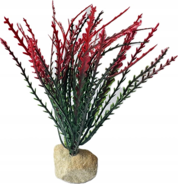 9cef1dfcebe58c006580266be0923969