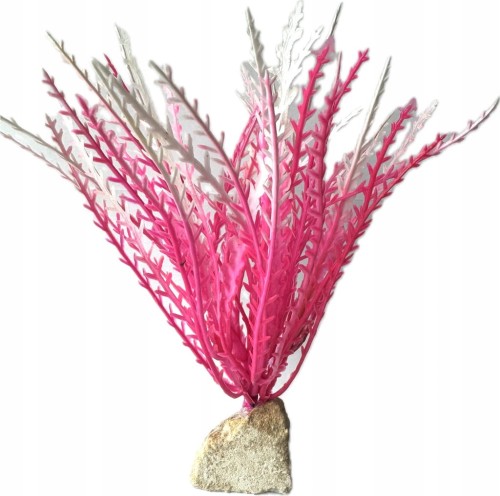 d2f17e498f248ffb9de2db06fde35e49