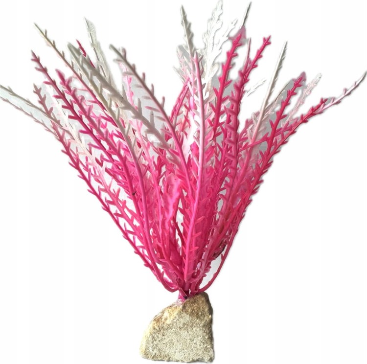 d2f17e498f248ffb9de2db06fde35e49