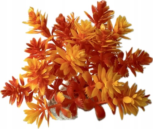 86116369998c61114cc2c37399d67a67