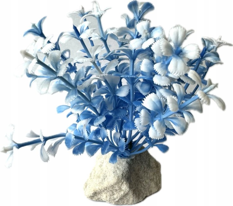 c6cb8d64d25cb3bc3b9a97a1d849d9f6