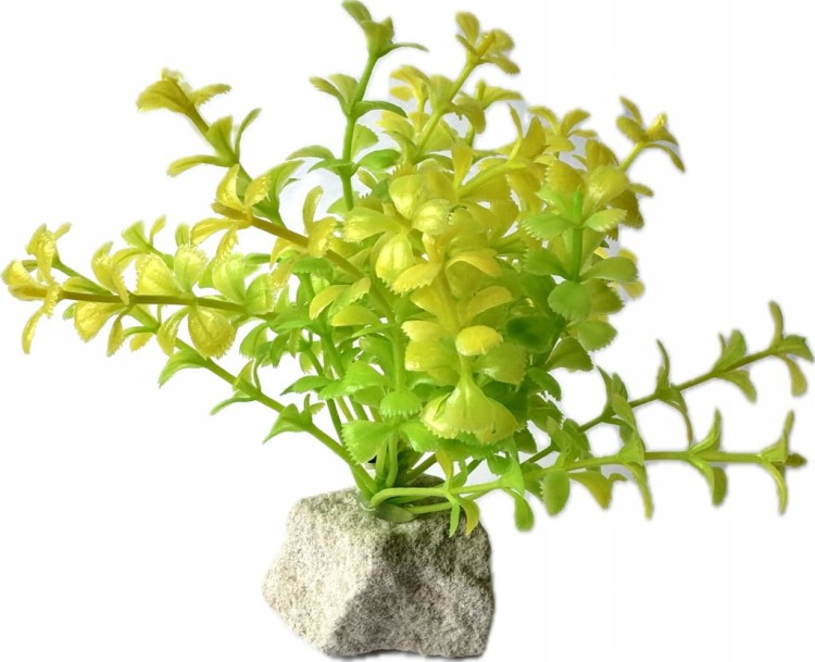 52057e56b9d0b1fbe6d4db4e083794a7