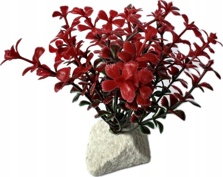 e75fc5748043a7bac85e92670d897f6f