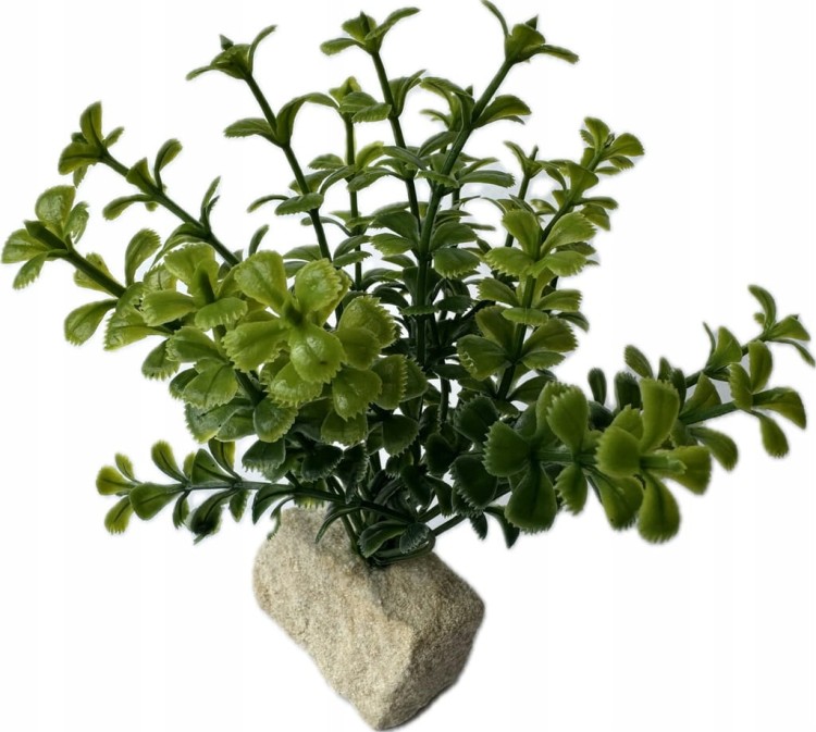 cd782139df79cdd2600272e2e51466ff