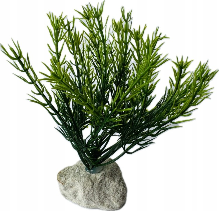 89c8ce4cf62dd5c2abebb4d3ea21a4a6