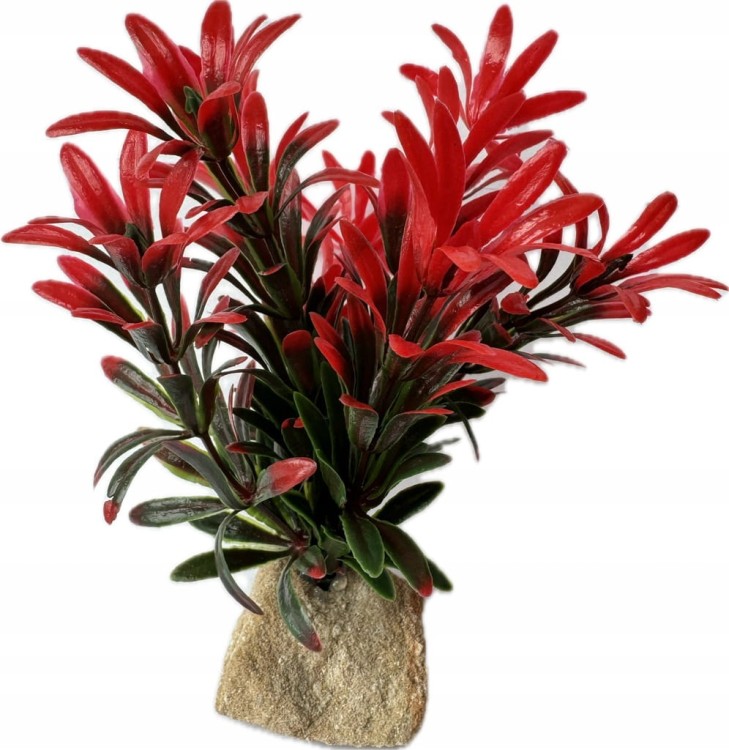 a0b766f45795d420538b745ba4f0a1eb