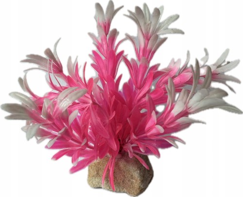 dc1800b982713250cd0bf7f5a51c8692