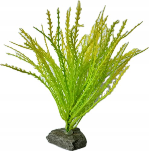 1cc8f285156a64d68e59e9617ef26422