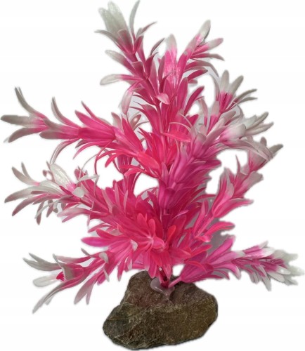 083900ce236fc7b12080f8e18430dbb1