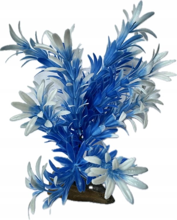 929330860a028c4813c630b445faedcd