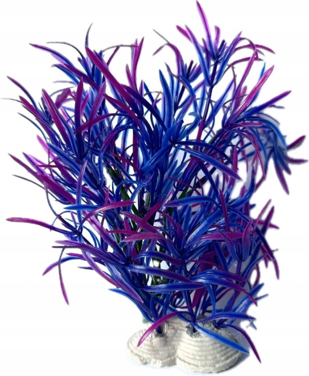 aef2adaa70f26cf9651a78cfdc0aa80c