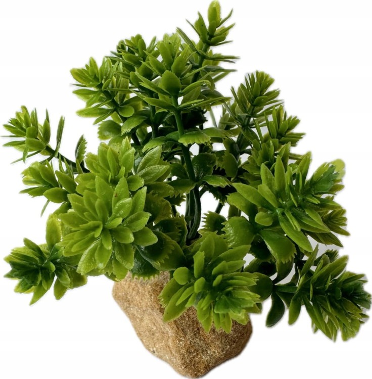 dcc993082b9366ab97e19725e2d89d36