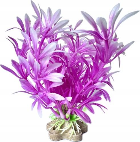 8d78b18ca9343ad66106d2bbd720037c