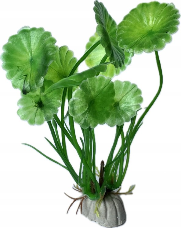 2c5ec909c602b048c2c4ddc04c2d6d2d