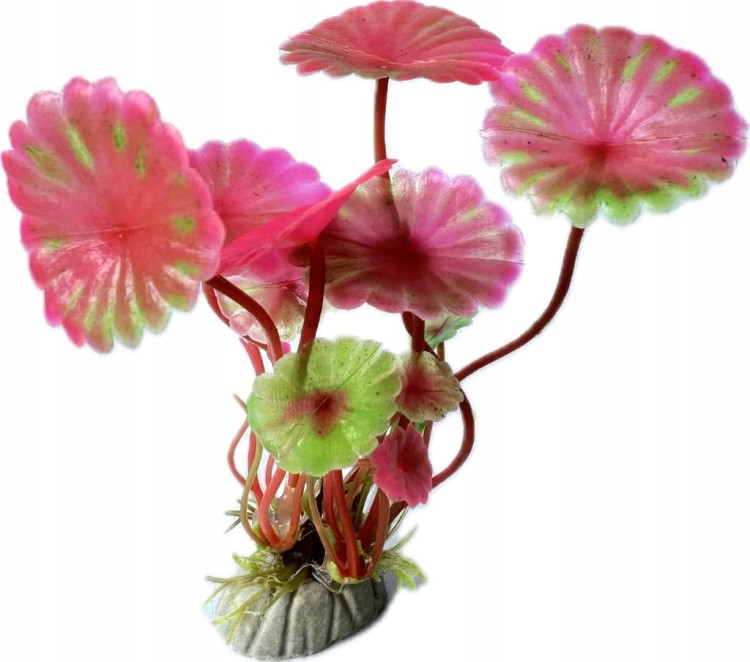 24f9d6ddeec88f3332a457a657408a4b