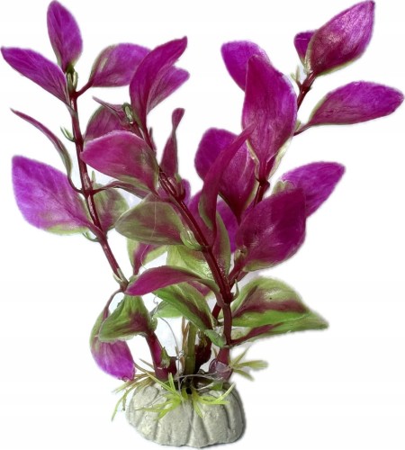 531ef27e071a074809dbc9cfccd404bf