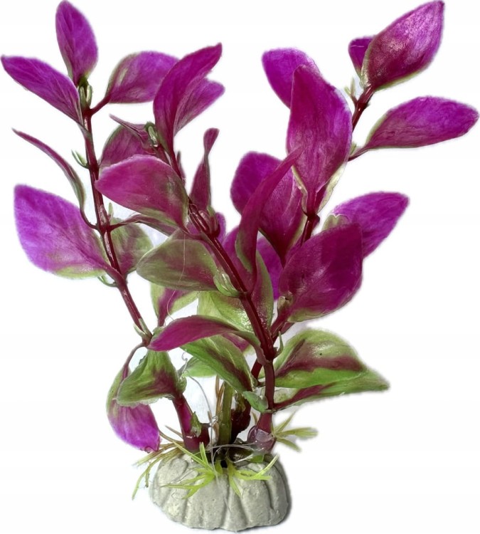 531ef27e071a074809dbc9cfccd404bf