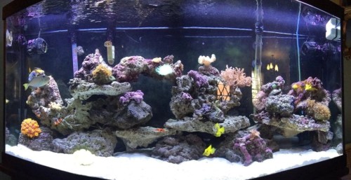 1c05bee81050cf9b57ce5ddf221abe3a