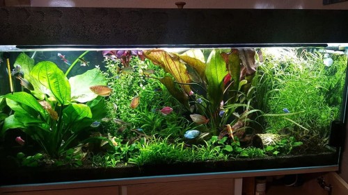 9b7f5386d3e2333bbf1284d98030399f