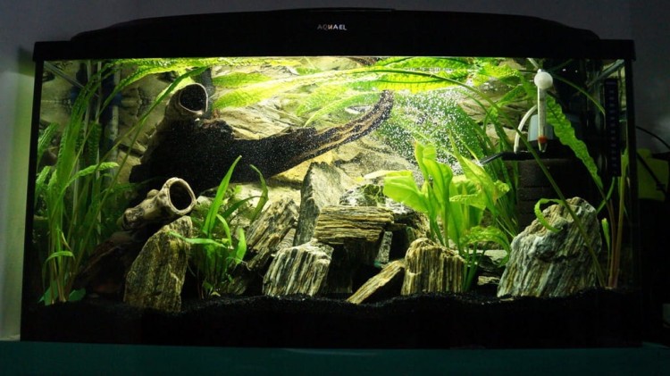 6d4829344af58add42c8161f15435009