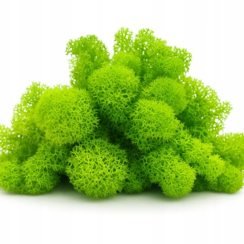 32a70f52eb4749f38c1150d23229933f