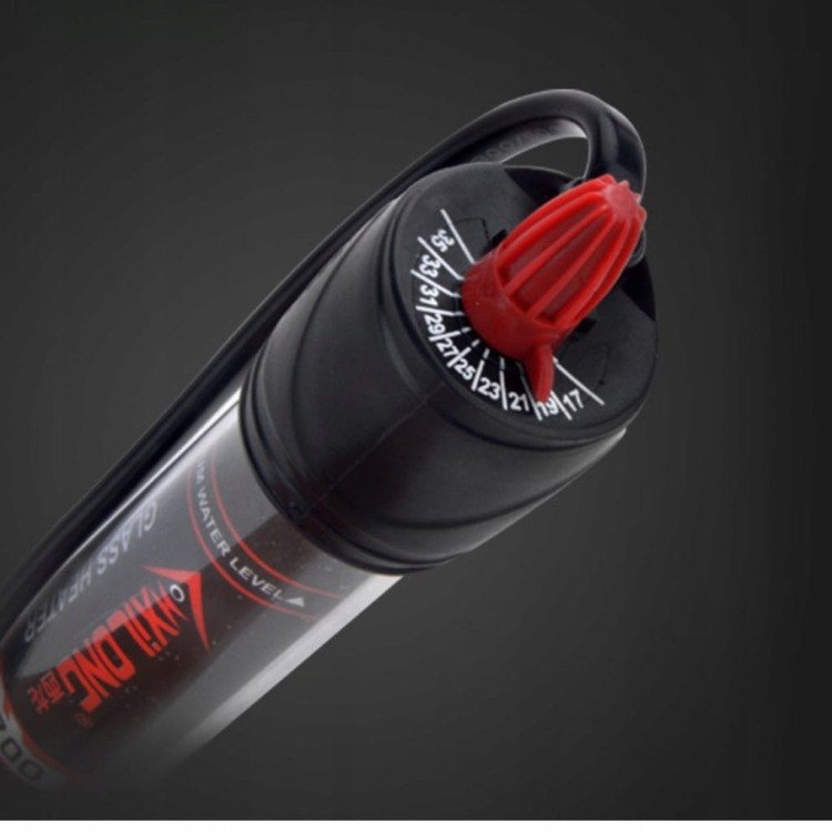 312348b09086a5d96a66fdbb87a00571