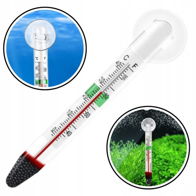 033caa9346449c8dba6e37f529c7e565