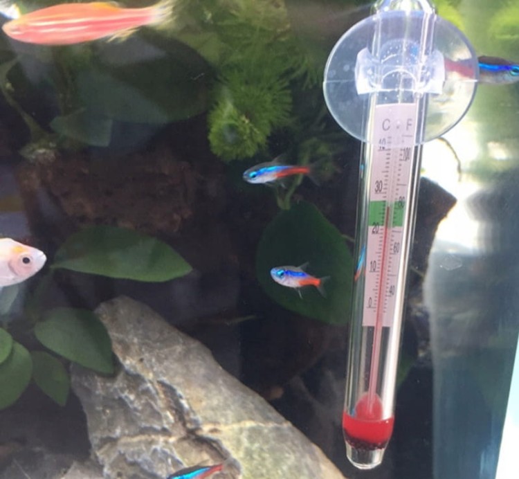 4a8c0c7596f9fdf65ef359c946b4d16d