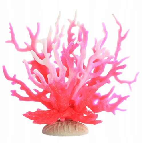 0927f6ddef45b348ea8e10095487c459