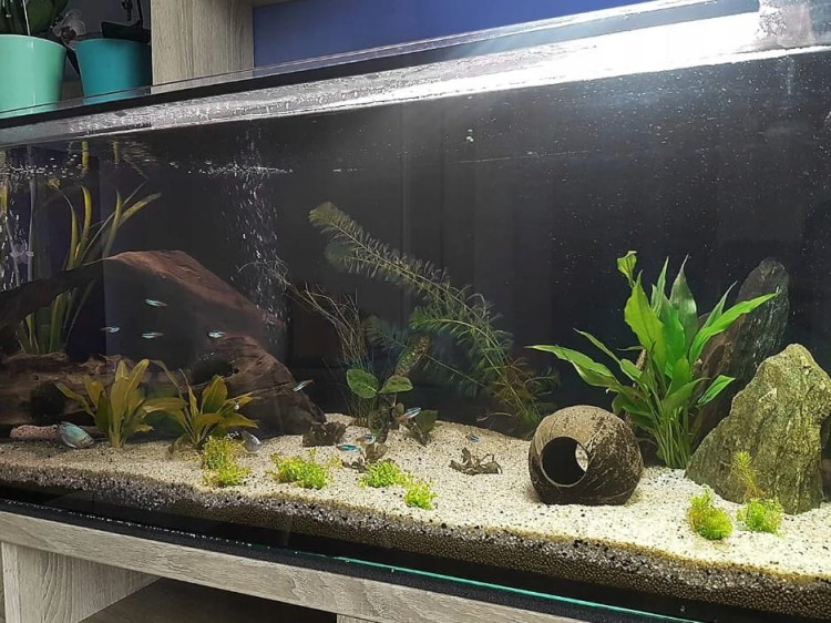 55a2b1312a5074dac10a368cfa686a24