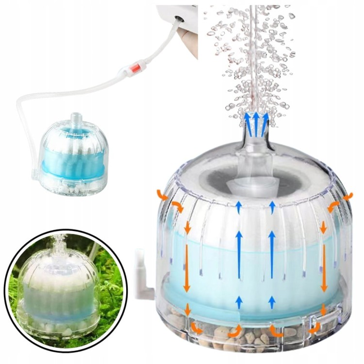 d1aa0f112a2c1c958f5a50e2dcfa1bb8