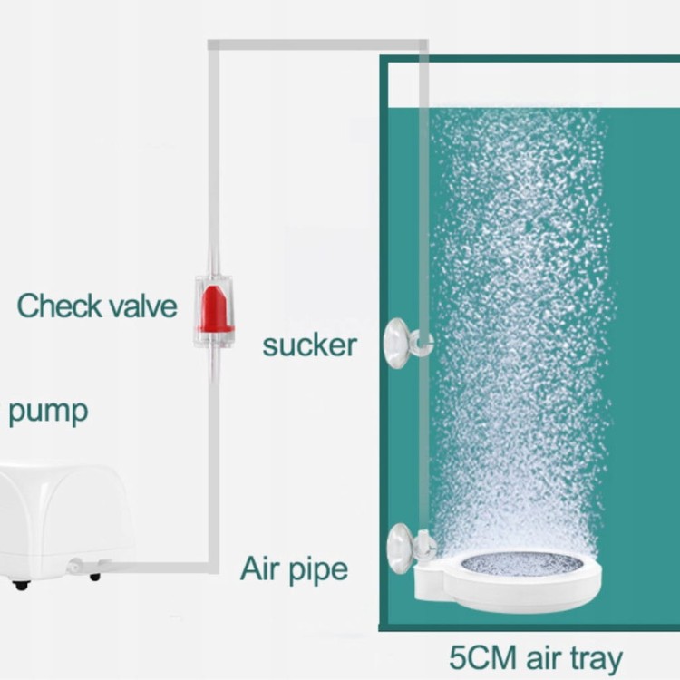 85f0efe606e29e9fa34189e3787812cd