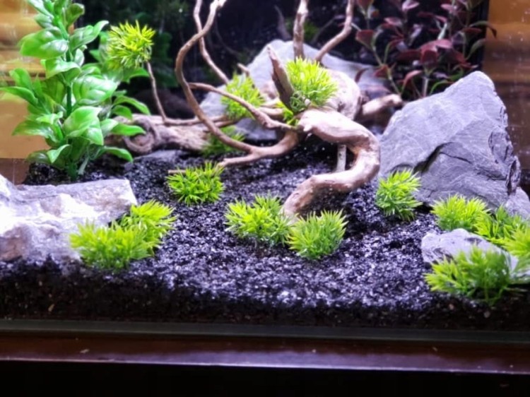 90f8a99f7d7d8f2bcd35dc2c19cae1b2