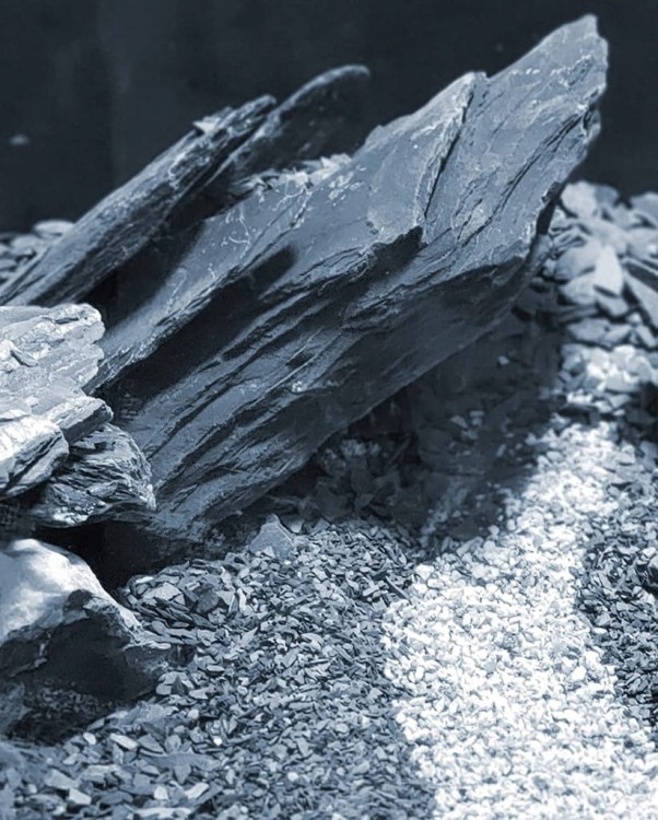 51279973148609112895ea01b6ef9e71