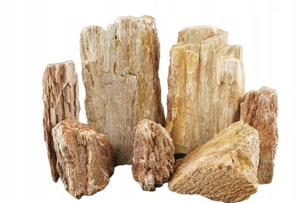 d1105ad65cf11d079b7e54817e6d4b49