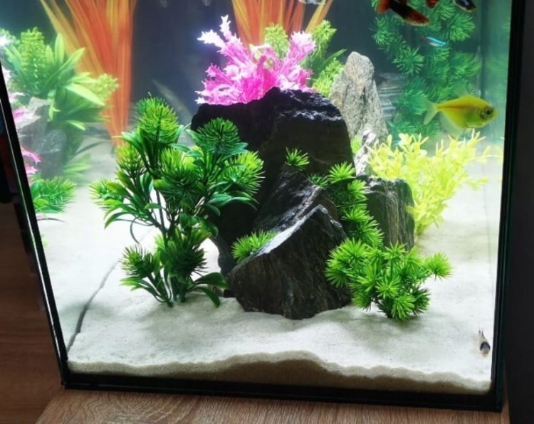 89bf951c2759d2b2d4106689f7555d86