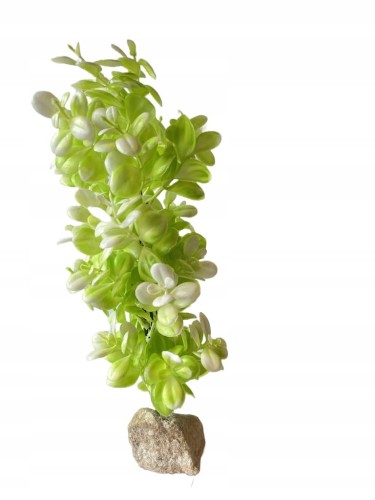 b322d19faa5a69783d31b57da3437684