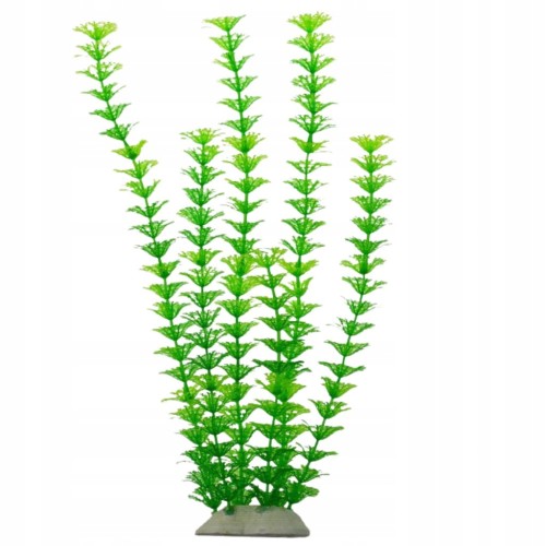 c0e907b1553c7d003fdc6a3b6d43abc5