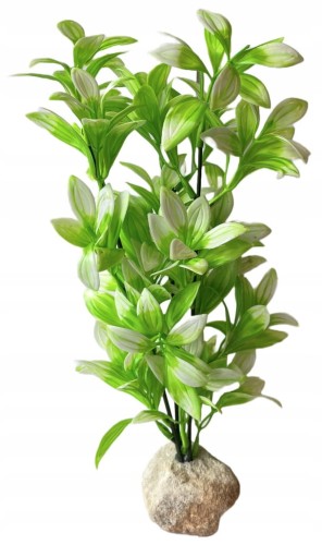 0dfc95e732a28038462677f82da29ca5