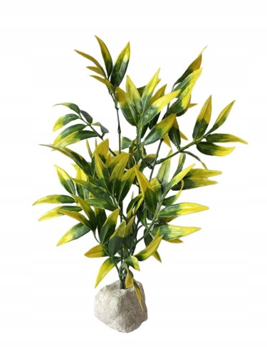 906aaf6f38b59a4f0a82af14da480788