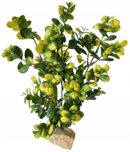 c9a81b732aac2eb76c5c5f36c3e8915a