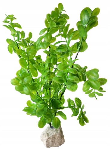 3b649607f708257a37fc797176008c94