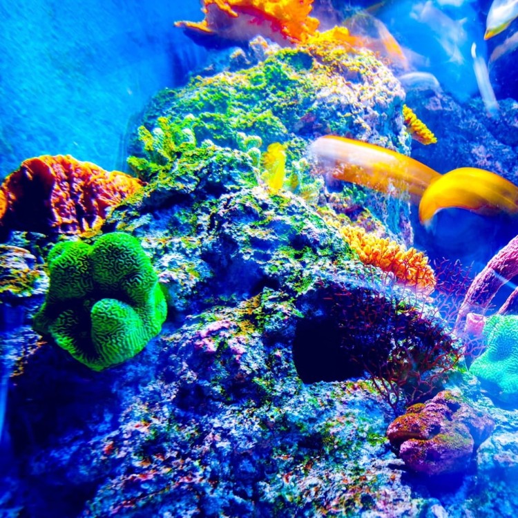 68ee2f8400fab4930327427a347cf917