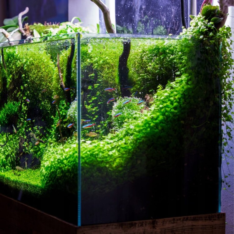 3735c87607af8ace4b6a2f5aaae0fb9d