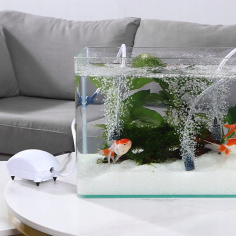 6ef6d3f6a4837880e10ce902017ef9aa