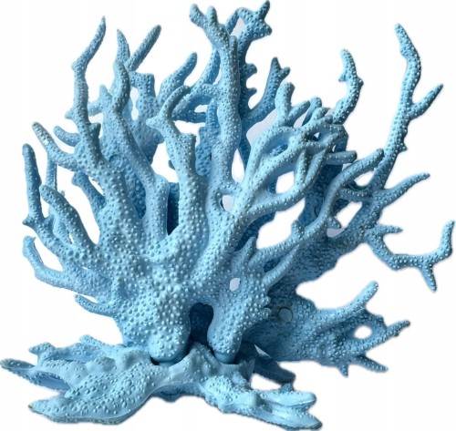 e223dd3f2f5fe4f2a3eee0e1d5c7f85a