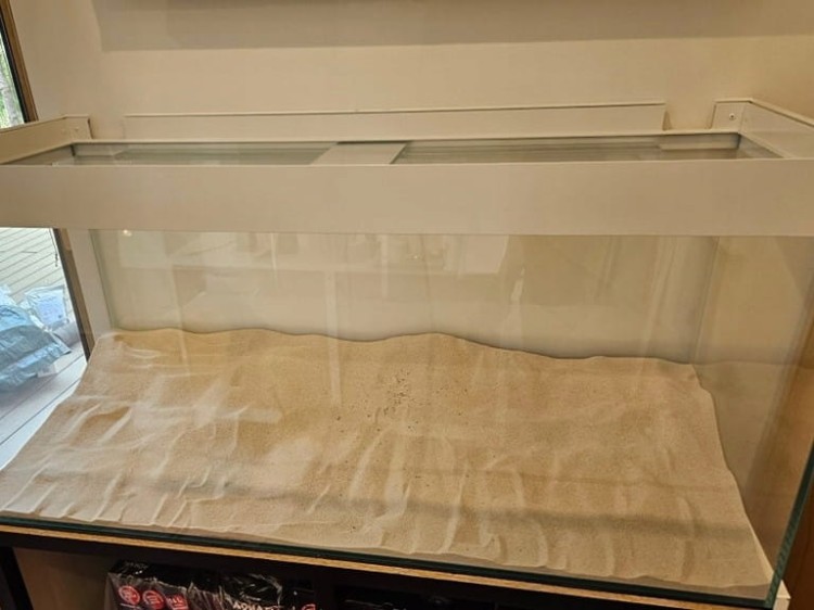 e54ad4c916742309a9aa49f296a3640b